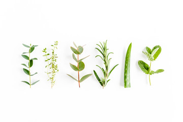 Mix of herbs, green branches, leaves mint, eucalyptus, rosemary, aloe Vera and plants collection on...