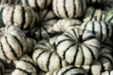 Fototapeta na wymiar Striped edible pumpkins background with camera blur