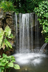 Long Exposure Waterfall, Singapore Botanical Gardens