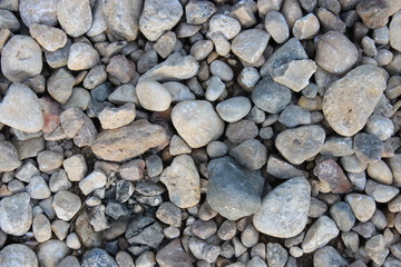 Small pebbles of different sizes. Top view.