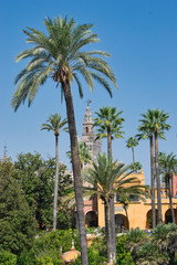 Fototapeta na wymiar Jardines del Real Alcazar de Sevilla y Giralda al fondo