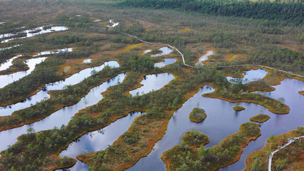 Naklejka premium Aerial shooting from the drone. Beautiful landscape with Islands and lake. Turquoise water and beautiful winding shores with coniferous forests and wild beaches.