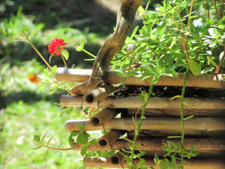 Wooden pot hanging with plants