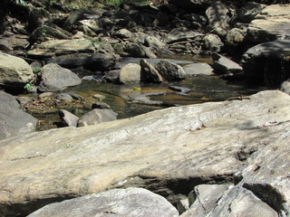 Trail in Waterfall Park, Ceara countryside