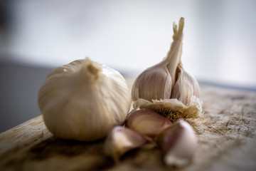 Garlic