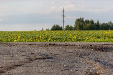 electric pole on a field with sunflowers out of focus of the camera. The destroyed part and the...