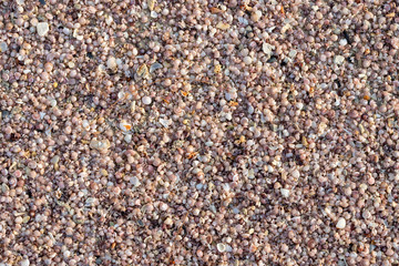 Shell sand background