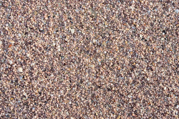 Shell sand background