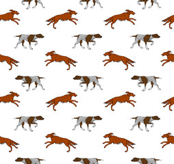 Vector seamless pattern of hunting dog isolated on white background