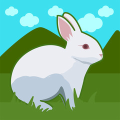 Rabbit sitting on grass vector
