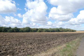 Obraz premium White Clouds