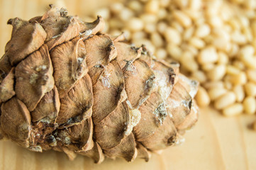 cedar cone with nuts scattered on a light wooden background, organic food and vegetarianism