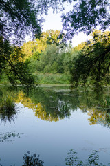 Fototapeta na wymiar Quiet water on a wide river with tree forest reflected like a mirror on a green landscape