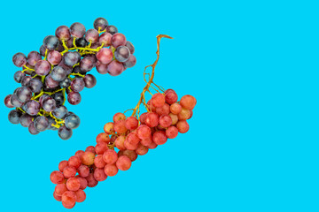 blau und rotes Trauben duo auf Hellblauen Hintergrund