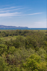 Obraz premium Green coastal forest landscape in Costa Brava, Mediterranean Sea