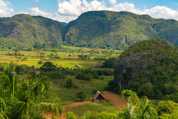 Fototapeta na wymiar Vinales Valley site in Pinar del Rio of Cuba