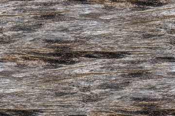 Grain of wood (Wood Grain) and rough pattern surface in the lumber or timber as the material texture background