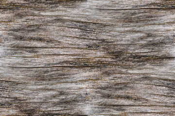 Grain of wood (Wood Grain) and rough pattern surface in the lumber or timber as the material texture background