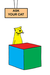 Cat opens an informaton booth