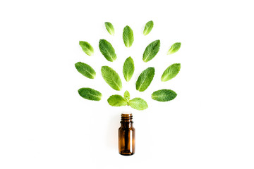 Essential oil and green mint leaves on white background. Medicinal herbs. Flat lay. Top view. © K.Decor