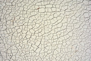 Tierra agrietada por causa de la sequía