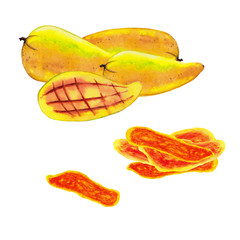 Composition of realistic colorful ripe Thai mango fruits and half part with dry slices. Watercolor hand painted isolated elements on white background. Popular exotic tropical fresh food and snack.