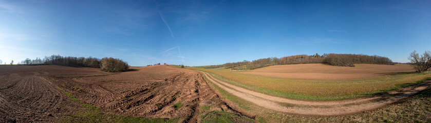 Fototapeta na wymiar Panorama of agricultural field at sunny day