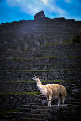 Lost city of the Incas