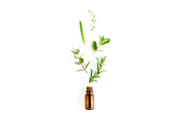 Essential oil and mix of herbs, green branches, leaves eucalyptus, aloe Vera, rosemary, thyme on white background. Set of medicinal herbs. Flat lay. Top view. - obrazy, fototapety, plakaty