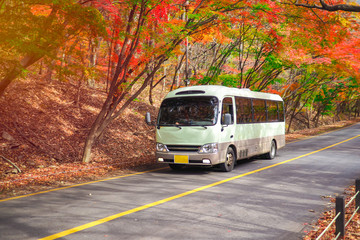Plakat Tourist walking and Shuttle bus passing main road with scenery red and yellow maple tree during autumn in Naejangsan National Park.