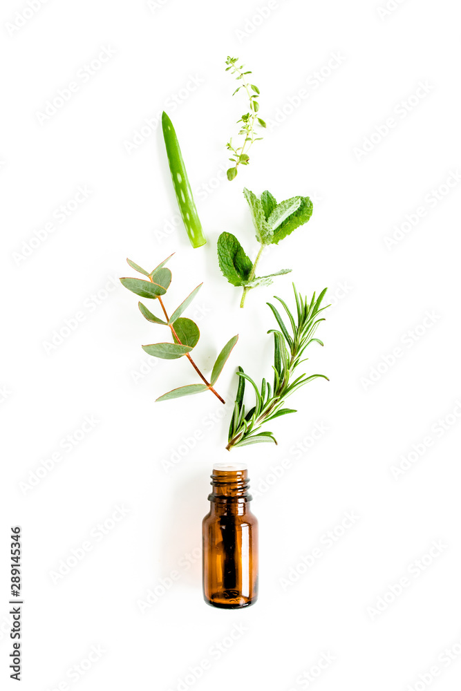 Poster Essential oil and mix of herbs, green branches, leaves eucalyptus, aloe Vera, rosemary, thyme on white background. Set of medicinal herbs. Flat lay. Top view.