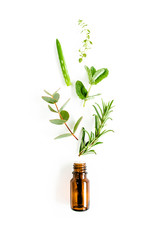 Essential oil and mix of herbs, green branches, leaves eucalyptus, aloe Vera, rosemary, thyme on...