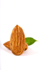 Almond. Almond nuts, close-up isolated on a white background