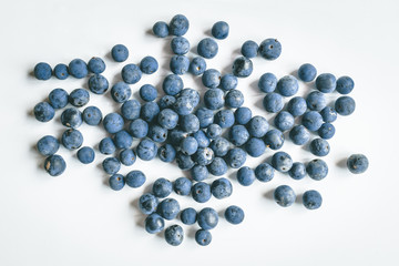 Fruits of the forest: blackthorn (prunus spinosa) on white background