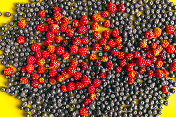 Fruits of the forest: red mulberry and dogwood fruits on yellow background