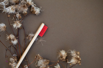 eco bamboo toothbrushes, ecological lifestyle concept, place for text, wood brush, zero, brown background.