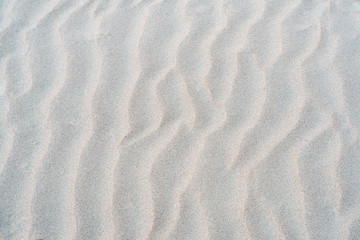 Fototapeta na wymiar Sand texture of a beach with undulations