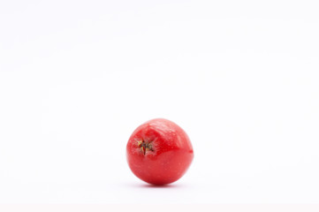 One berry red ripe Rowan on a white background.