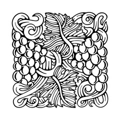 Grapes. Grape and vine engraving style hand drawn vector illustration. Grape and vine ornament. Part of set. 