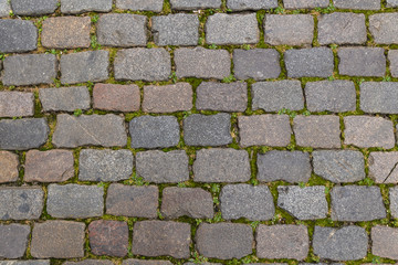 Kopfsteinpflaster mit Pflanzen