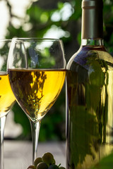 Vinnaya theme.