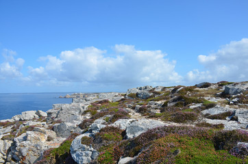 Fototapeta na wymiar Felsenküste Bretagne
