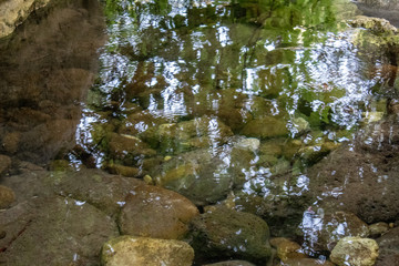 Water reflection