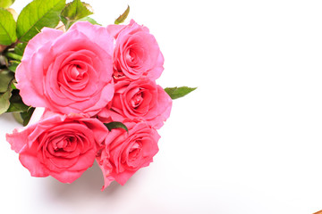 Beautiful rose flowers bunch isolated on white background