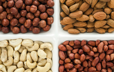 Four kinds of nuts in four compartments: cashews, peanuts, hazelnuts, and almonds.