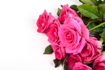 Beautiful rose flowers bunch isolated on white background