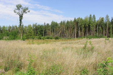 steinberg am see OPF