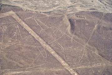 Nazca lines