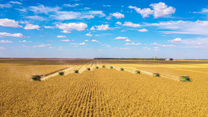 Corn harvesting machines, synchronized operation