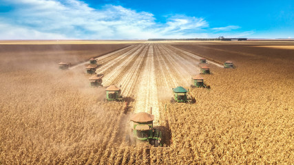 Corn harvesting machines, synchronized operation